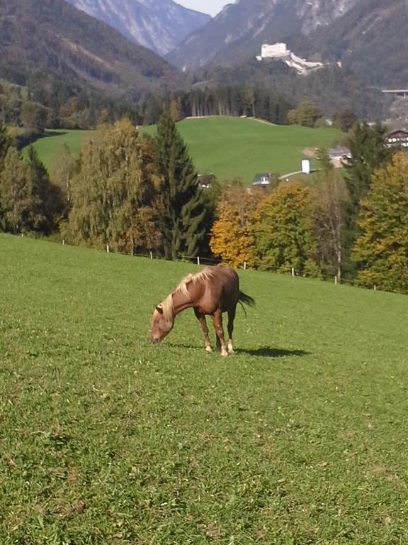 Unterschwabegghof Lägenhet Werfen Exteriör bild