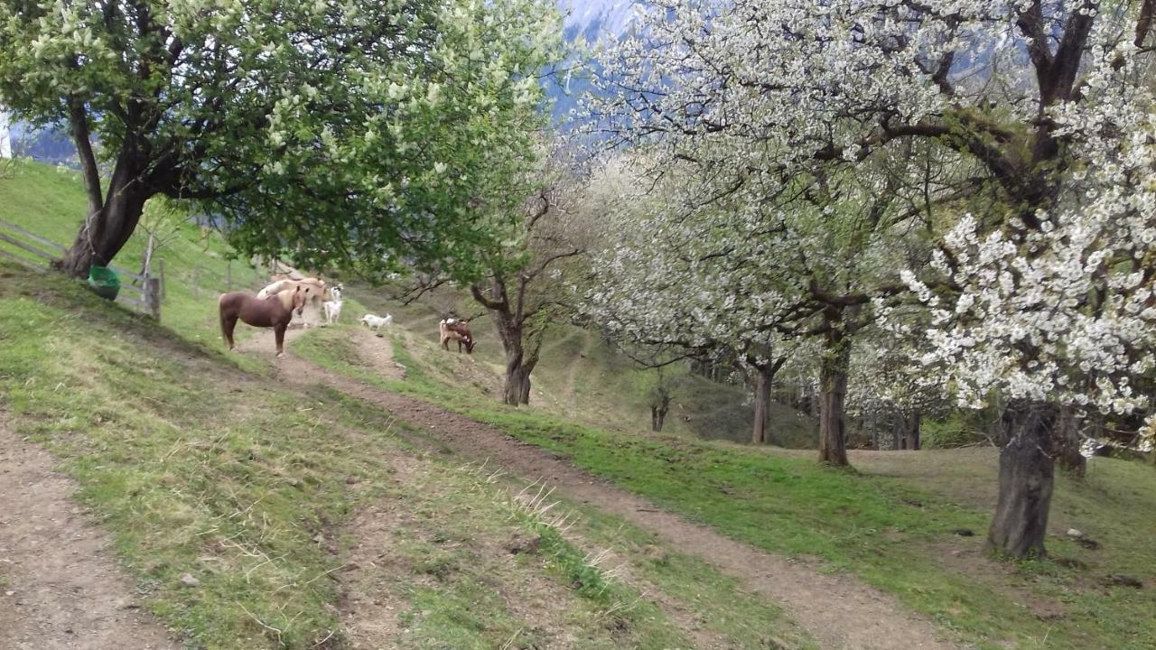 Unterschwabegghof Lägenhet Werfen Exteriör bild