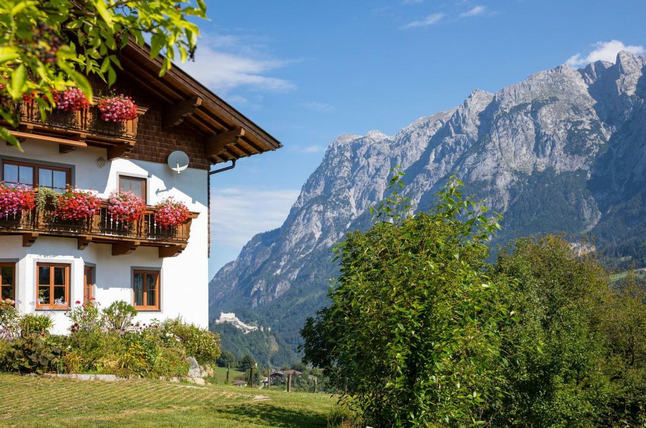 Unterschwabegghof Lägenhet Werfen Exteriör bild