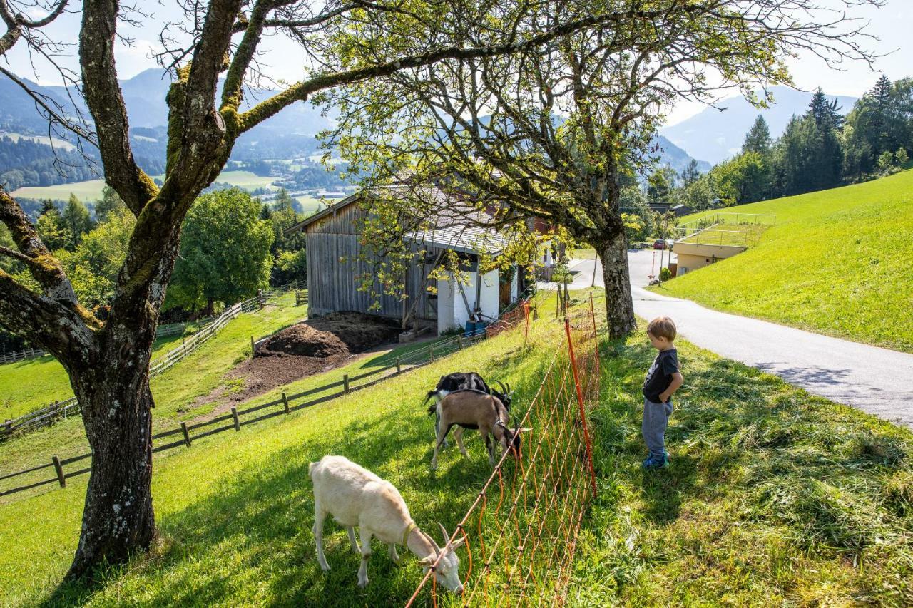 Unterschwabegghof Lägenhet Werfen Exteriör bild